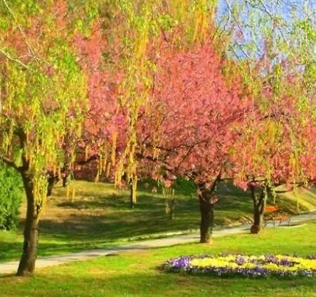 Porat House Zalakaros