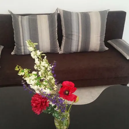 דירה Porat House זלקרוס