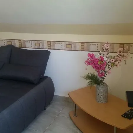 Porat House דירה זלקרוס