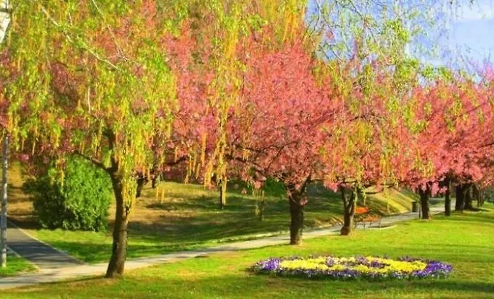 Porat House Zalakaros